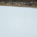 송해면-4 이미지