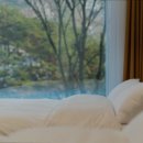 힐링포레스트 이미지