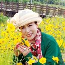 담음의 미학 이미지