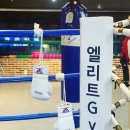 엘리트복싱체육관 이미지