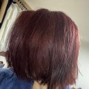RUBY HAIR(루비헤어) | [여동생 염색] 쿨톤 찰떡 염색 추천! 밀본 7-BO-Ruby 보르도루비 + 뿌리탈색 리얼 후기