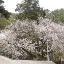 맑은샘이 있는 봄 이미지