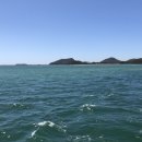 시니 케어 이미지