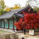 성균관대학교 미디어문화융합대학원 이미지