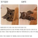 평소 몸에 열 많은 사람들 특 이미지