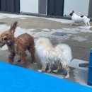 남악유치원 이미지