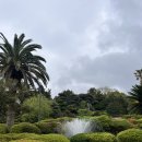 일출랜드식물원 | 제주 일출랜드 미천굴 족욕체험 하귤따기체험 성산일출봉 인근 가볼만한 곳