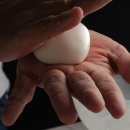 역사 속 음식이야기 이미지