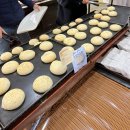 맘모스식당 | 안동 맘모스베이커리 주말 오픈런 후기