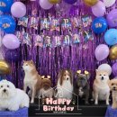 바우라움 메인캠퍼스 이미지