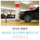 전기차 관련주 에코프로 코스모화학 쎄미시스코