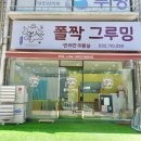 폴짝그루밍 이미지