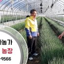 종구농장 이미지