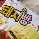 바구니아이스크림 | 변신? 롯데마트 통큰세일 50% 할인으로 득템한 롯데웰푸드 돼지바 본가 돼지빵 아이스크림 솔직 후기