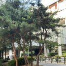 최창열 | 📚 2024 서울시립대 여름계절학기 학점교류 후기 📚