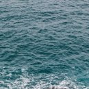 안녕농장 이미지