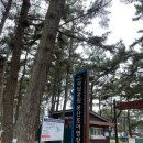 몽산포자동차야영장 | 태안 몽산포 자동차 야영장 예약방법 및 이용 꿀팁! 해루질 꿀팁 포함
