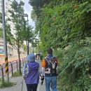 ──▶평일낮걷기후기/ 1860회/ (6.18) 백련산 푸른숲길과 홍제천 폭포,그리고 목석원(아침향기) 이미지