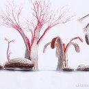 디자인크리틱미술학원
