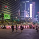 대살미생활문화공동체 | 아듀~ 쎄시봉~ /쎄시봉 더 라스트 콘서트/세종문화회관 공연 마지막 시간 관람 후기