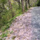 금수사초소 이미지