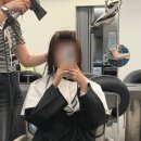가이미용실 - 천안시 서북구 | 성수 미용실 토니앤가이 매트브라운 염색 지율 디자이너 후기 TONY&GUY
