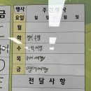 청춘의 한가운데 있나 봅니다