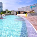 파라다이스 스파도고 이미지