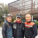 보나카바 이미지