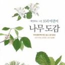 보리나무