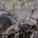 남해-252 이미지