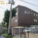 수정-115 이미지