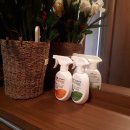 주식회사 센스맘 이미지