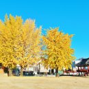 영월부관아 이미지