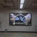 타겟성형외과의원 이미지