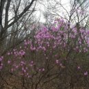 일영랜드 이미지