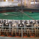 도하목장 이미지