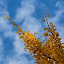 광양제철초등학교 이미지