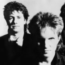 탠저린드림 이미지