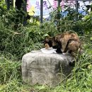 교동면옥 안동옥동점 이미지