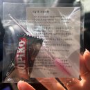시니크뷰티 | 대구 남구 시니크 뷰티:속눈썹연장 솔직 후기