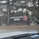 설악농장 | 설악밸리 켄싱턴리조트 후기｜키즈객실·동물농장 실제 이용 후기 (아이동반)