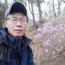 황금산(충남 서산시 대산읍) 20190414 이미지