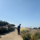 옥봉초등학교 이미지