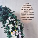 커피스미스울산정자 | 울산 정자 카페 | 오션뷰 대형 베이커리 카페 ' 카페 높 ' 내돈내산 힐링 타임