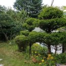 강림면349 이미지