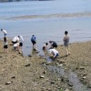 별빛품은 바다 이미지