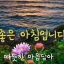 창이 행정사 사무소 네이버블로그