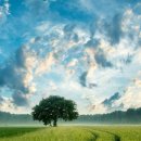 송암태권도 이미지