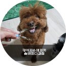 솜바지 다과점 이미지